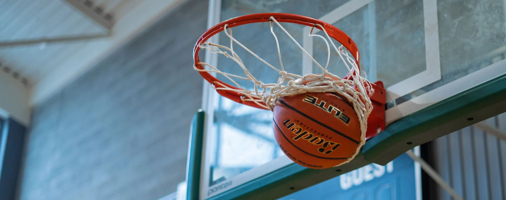 Ball Sports Store -Ball Sports Store JDFJFJ