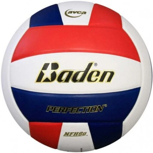 Baden VX5E Perfection 15-0 Leather Game Volleyball, COLORS Best Price