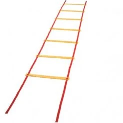 Champion 20' Speed & Agility Ladder, AGLXX Best Price